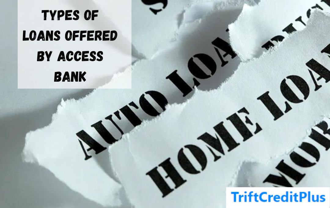 Types of Loans Offered by Access Bank