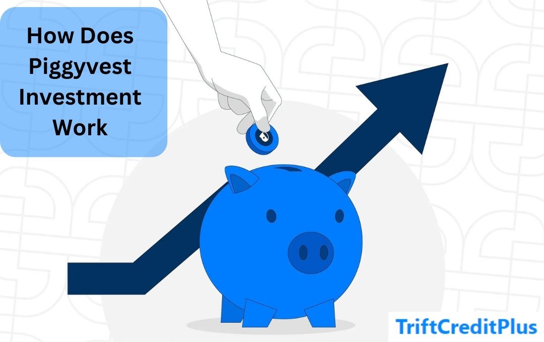 How Does Piggyvest Investment Work