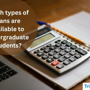 Which types of loans are available to undergraduate students?