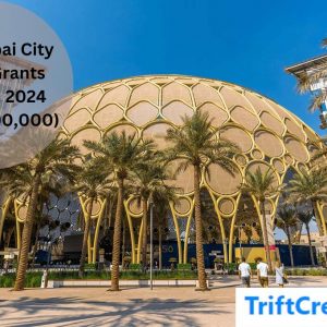 Expo Dubai City Global Grants Program 2024 (up to $100,000)