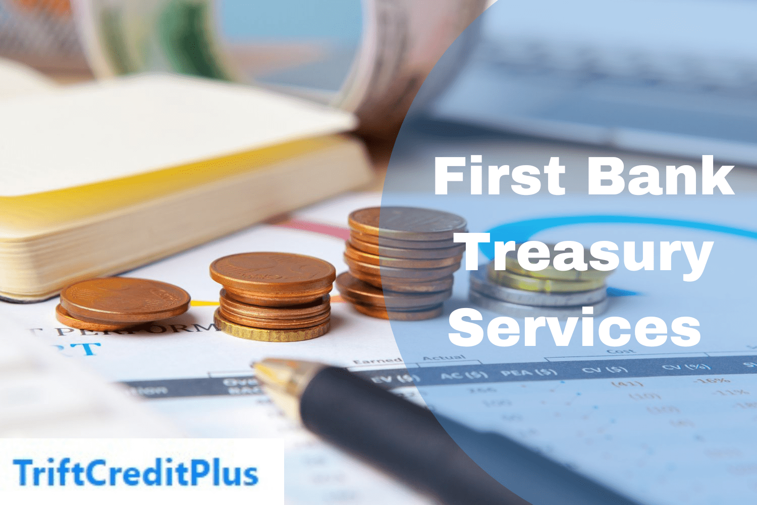 First Bank Treasury Services