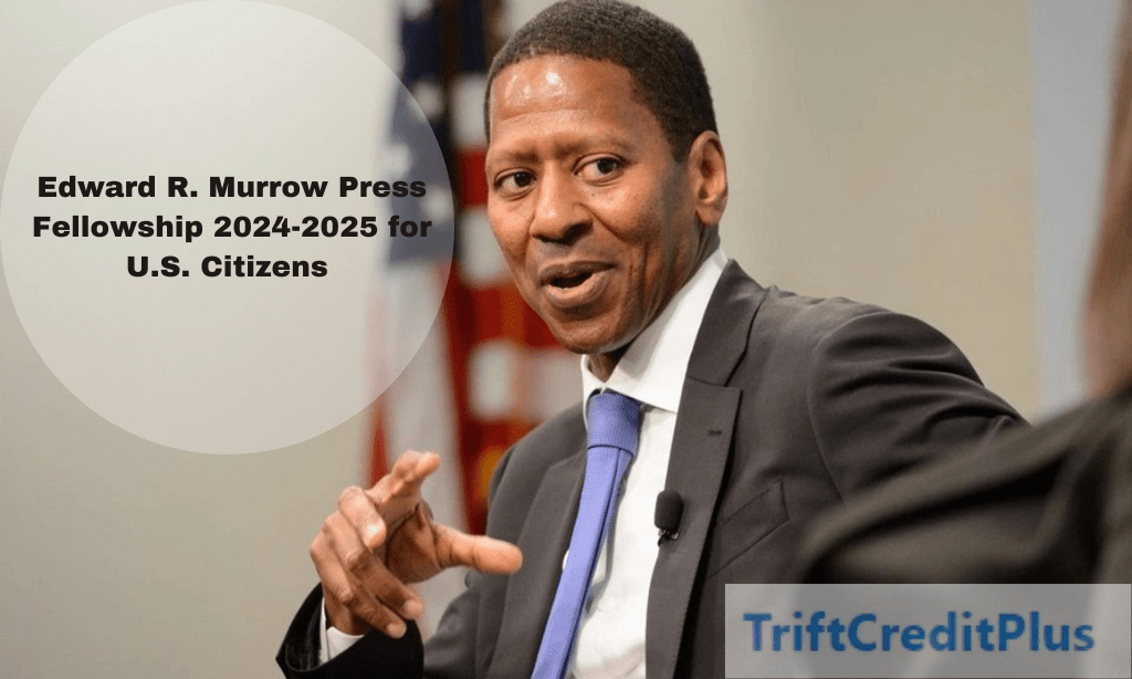 Edward R. Murrow Press Fellowship 2024-2025 for U.S. Citizens 