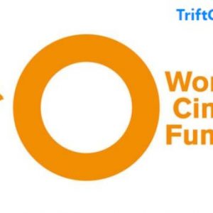 World Cinema Fund (WCF) Africa 2024 (40,000 Euros in funding)