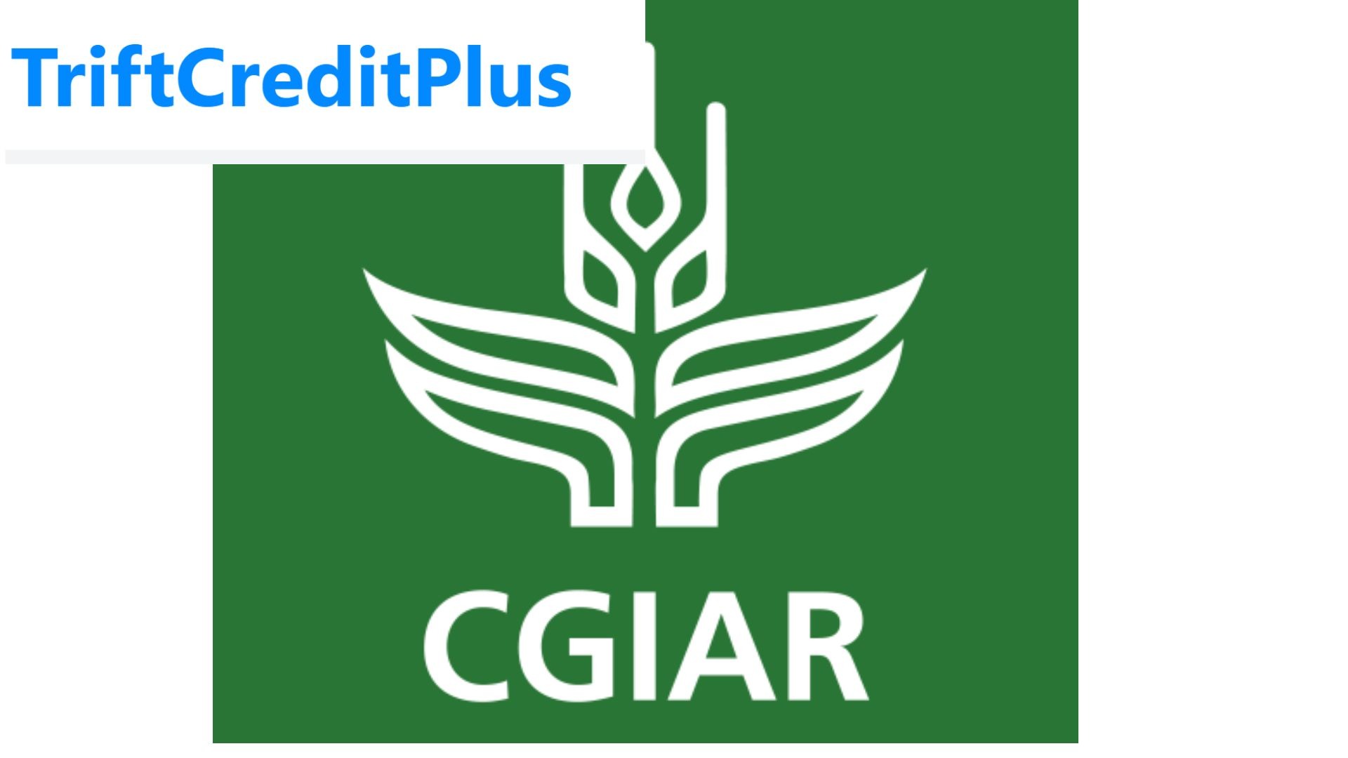 CGIAR/WFP Stability-and-Peace Accelerator Program 2024 ($30,000 equity-free grant)
