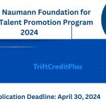 Friedrich Naumann Foundation for Freedom Talent Promotion Program 2024