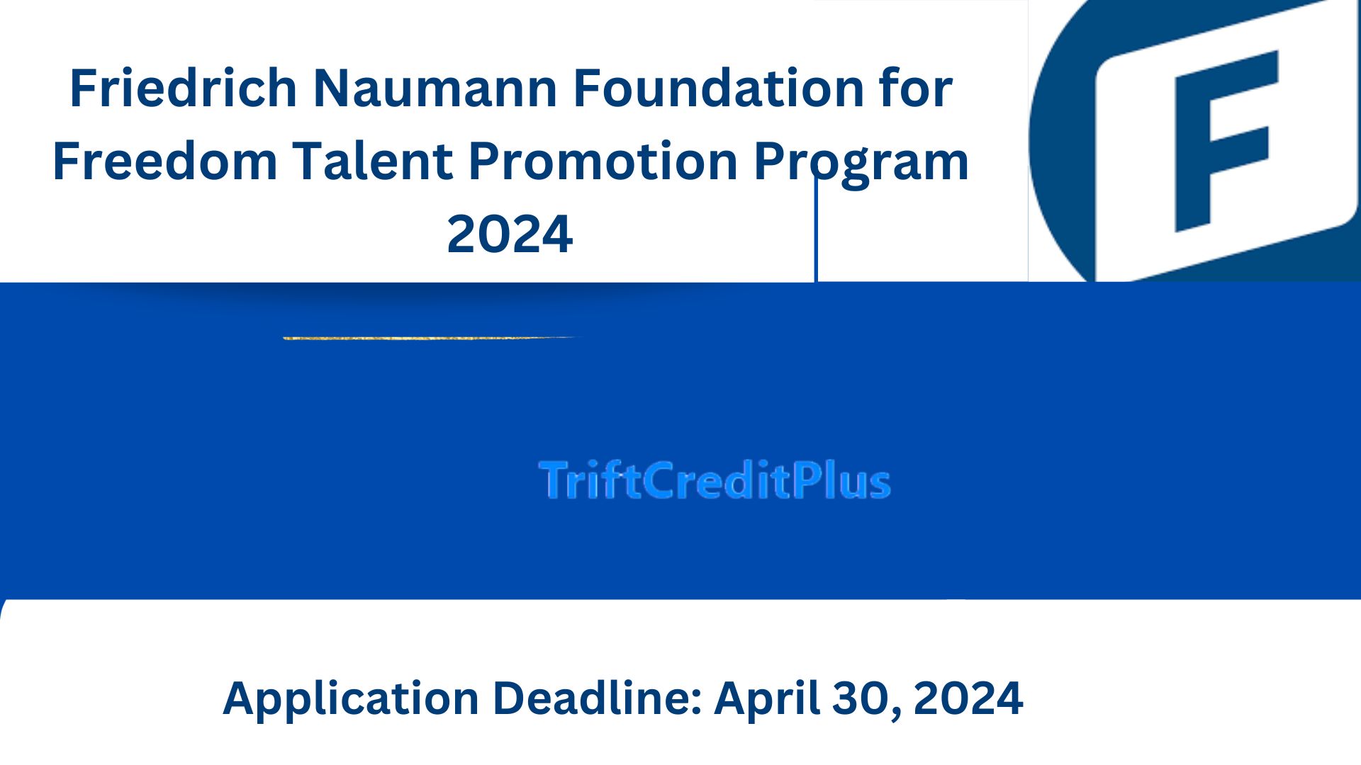 Friedrich Naumann Foundation for Freedom Talent Promotion Program 2024