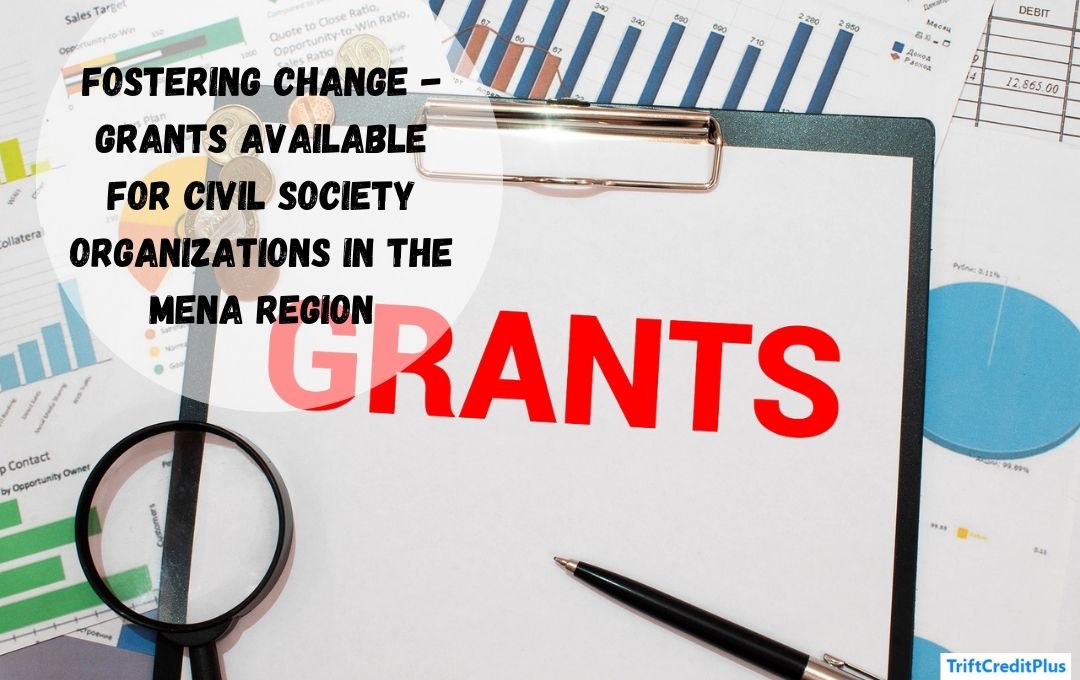 Fostering Change - Grants Available for Civil Society Organizations in the MENA Region