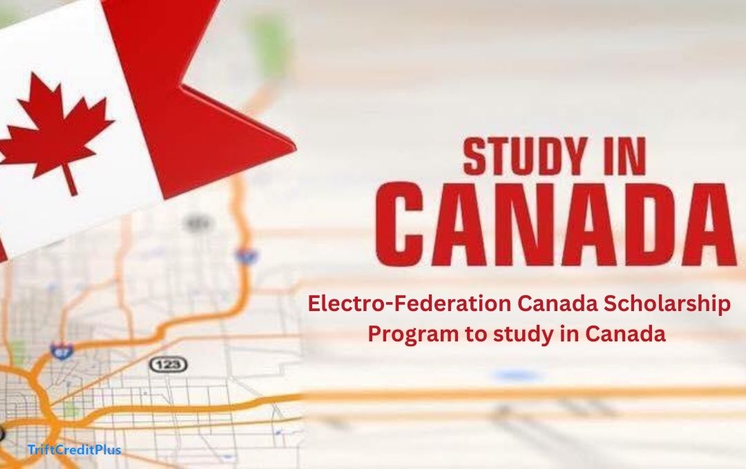Electro-Federation Canada Scholarship Program to study in Canada