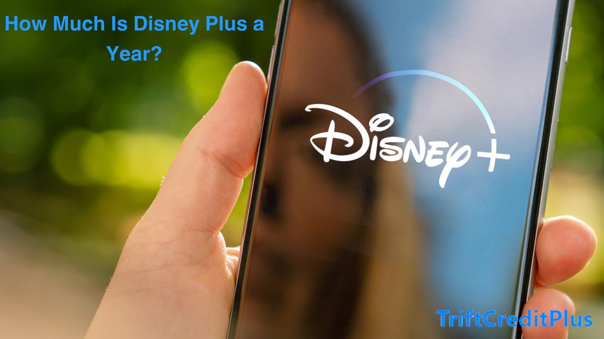 How much is Disney Plus a year?