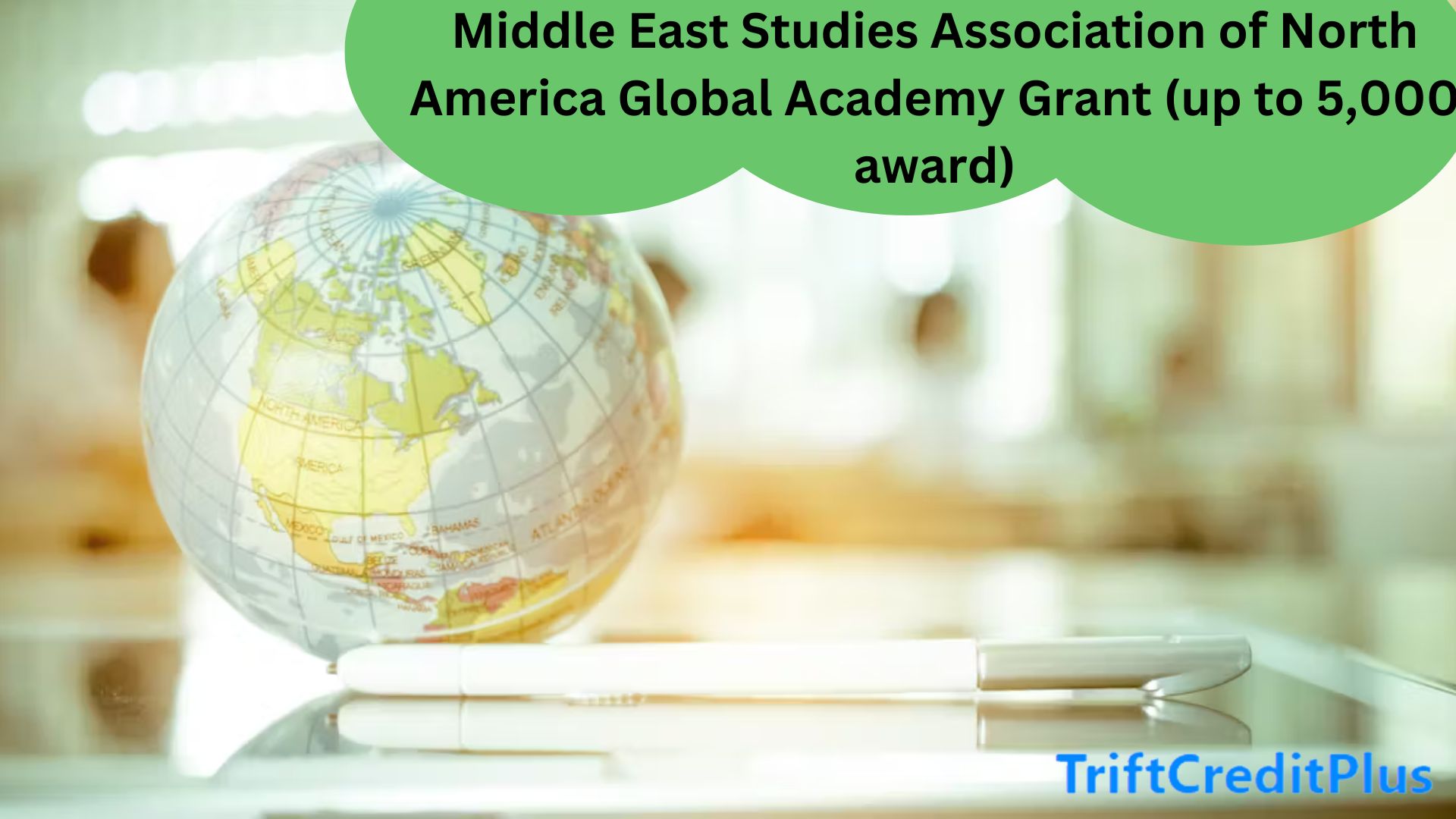 Middle East Studies Association of North America Global Academy