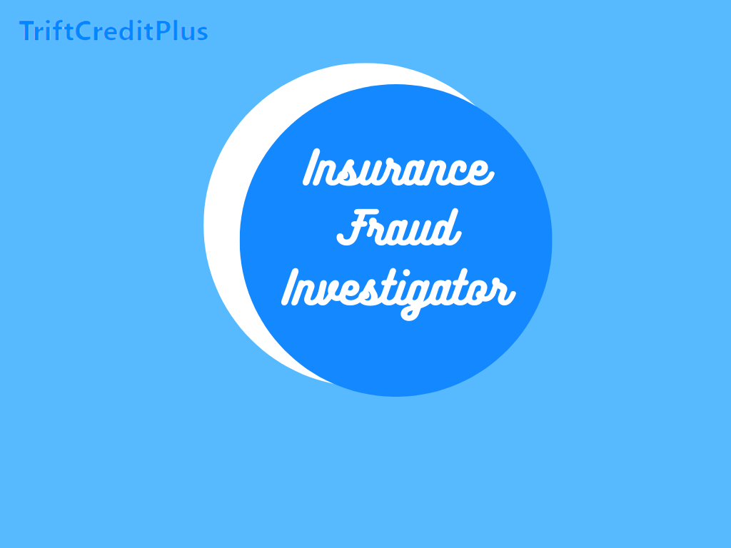 Insurance Fraud Investigator