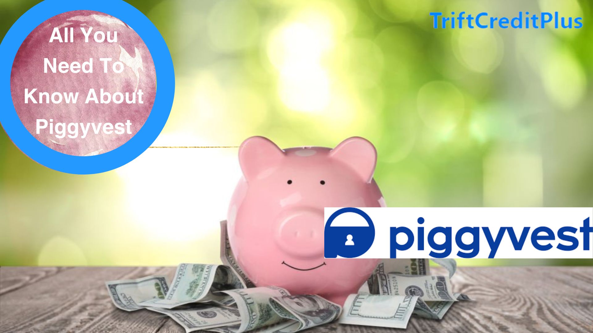 All You Need to Know About PiggyVest