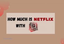 How Much is Netflix with Ads