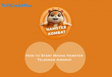 Hamster – How to Start Mining Hamster Telegram Airdrop How to Start Mining Hamster Telegram Airdrop