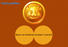 When Is Hamster Kombat Listing